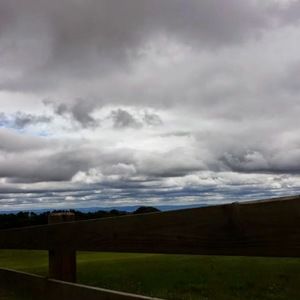 Meet your Posher, Tara